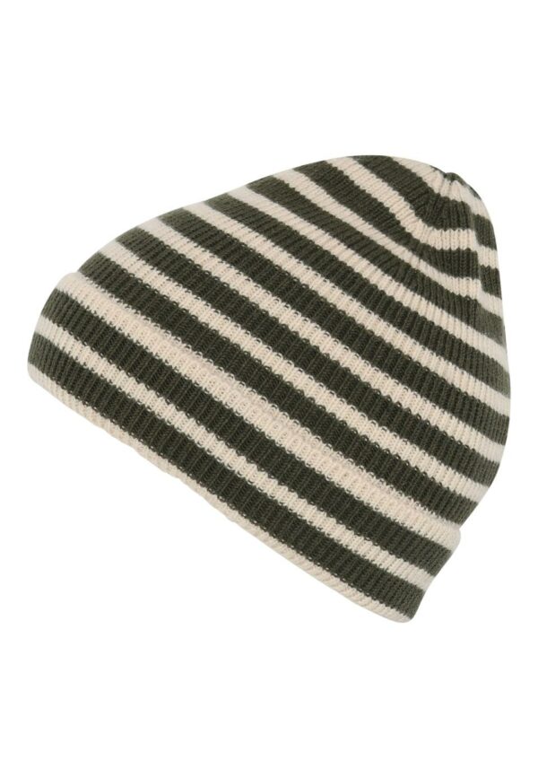 Bergen striped beanie - Ivy Green