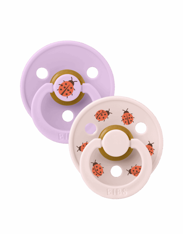 BIBS Studio Colour 2 pack Ladybug Violet Sky Mix