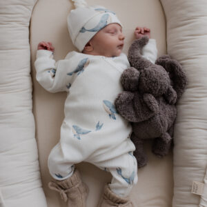 Boxpakje - Sam rib walvis